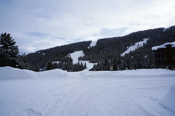 MOOSE MEADOWS