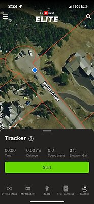 th IMG 1771