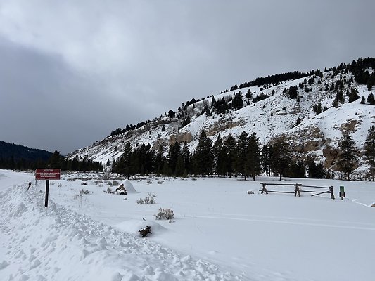 th IMG 1751