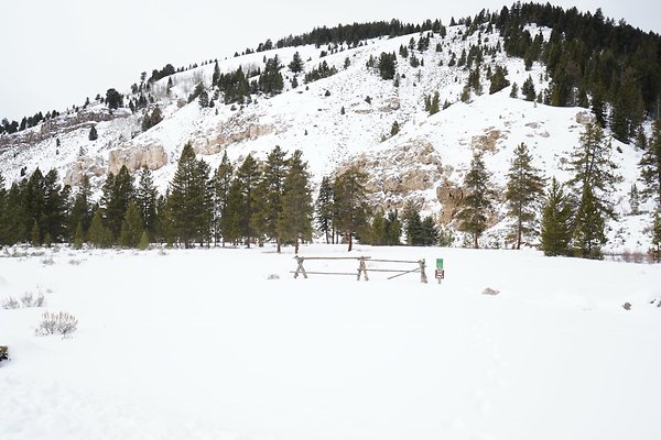 TAYLOR FORK USDA