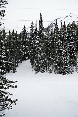 th DSC01772