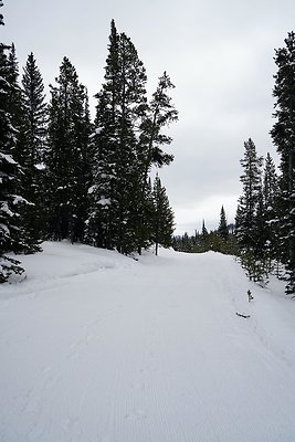 th DSC01780